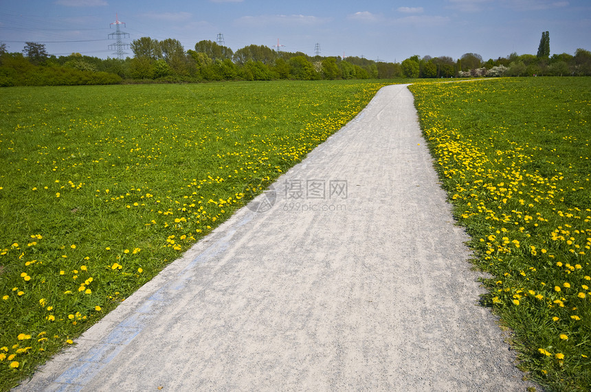 阳光路径乡村风景蓝色绿色场地太阳晴天小路农村黄色图片