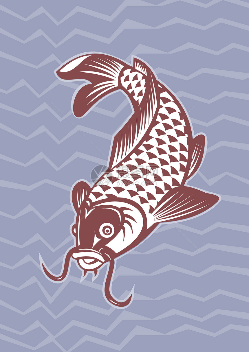 科伊鱼游下来艺术品野生动物海浪跳跃插图鲤鱼鲶鱼图片