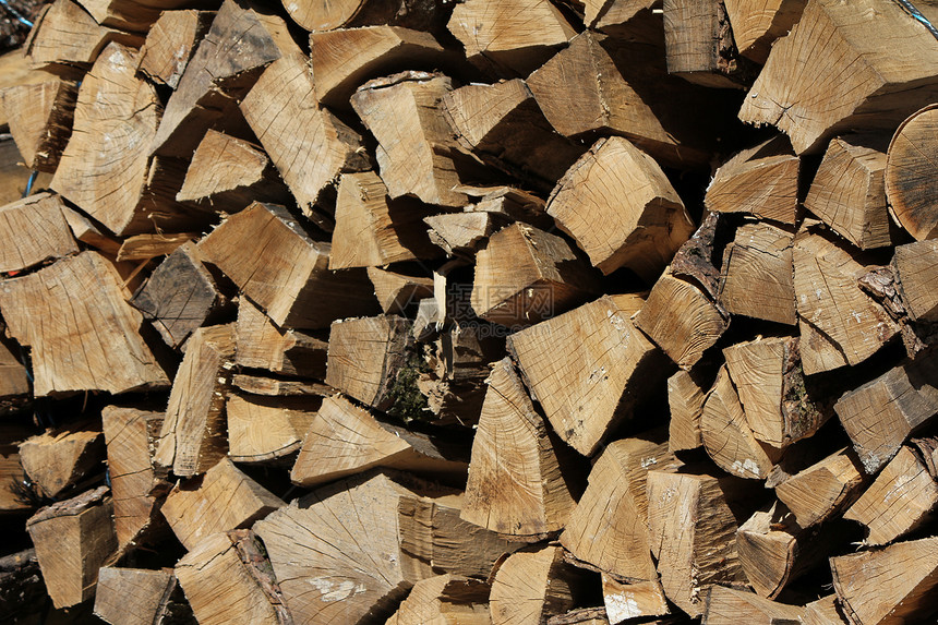 木柴材料树干圆圈戒指森林木材季节树木生活木头图片