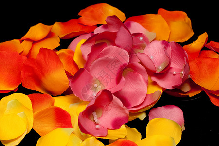 橙 黄色和粉红色玫瑰花瓣花朵黑色橙子纺织品白色粉色眼镜工艺手工红色背景图片