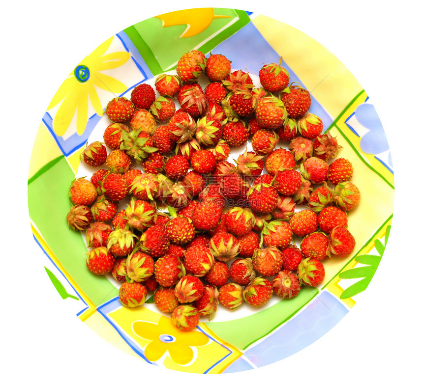 野草莓宏观甜点营养植被森林浆果荒野植物学食物叶子图片