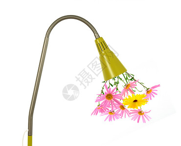 生态能源概念植物想像力创新发明雏菊环境花朵灯泡花束活力背景图片