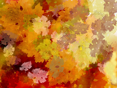 秋叶红黄藤叶和黄醋叶的背景背景图片