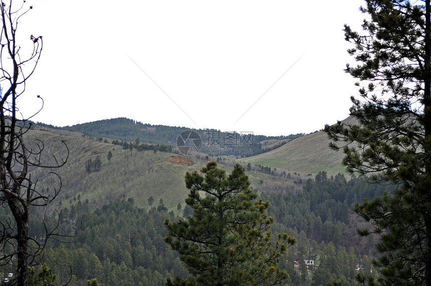 南达科他州天空树木丘陵叶子爬坡道山脉图片