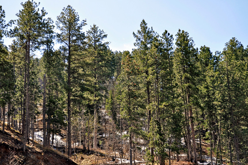 南达科他州丘陵山脉天空树木爬坡道叶子图片