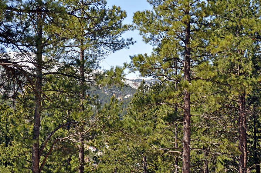 南达科他州山脉树木叶子丘陵爬坡道天空图片