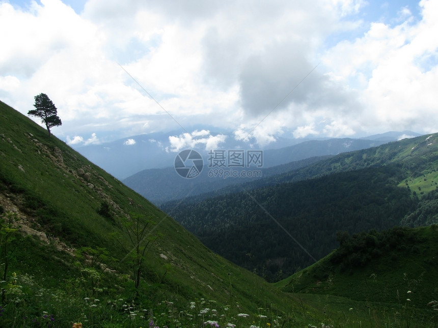 山山脉植物植物群风景青菜石头高原草甸解脱山丘花朵图片