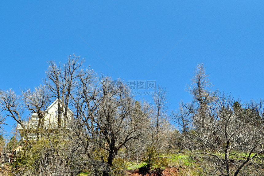 重建家园的矿山叶子天空山脉丘陵树木爬坡图片