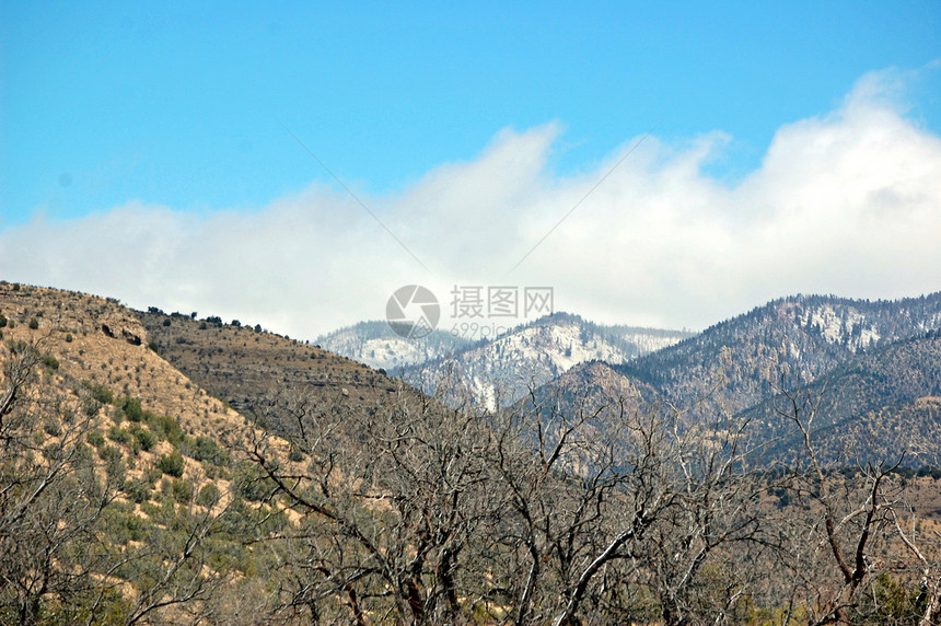 新墨西哥山树木纳米爬坡道丘陵天空叶子图片