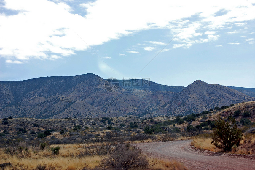 新墨西哥山纳米丘陵叶子天空树木爬坡道图片