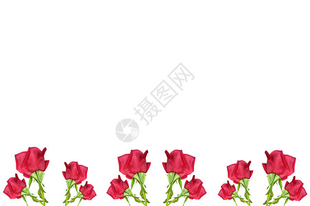 红玫瑰花边背景图片