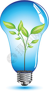 灯泡内自然叶玻璃创造力技术金属绿色电气螺旋叶子生态插图背景图片