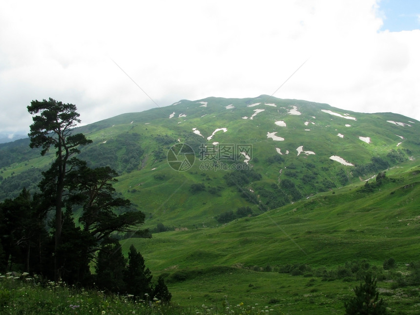 山山脉高山草甸高地路线文件天空花朵风景高原植被图片