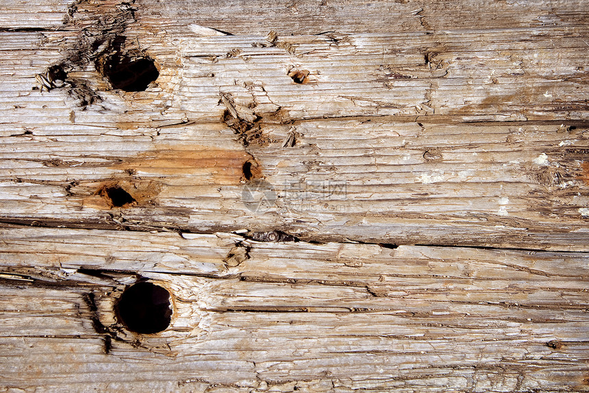 Grunge木木板表面山脊树桩木材桌子栅栏圆形硬木静脉时间林地图片