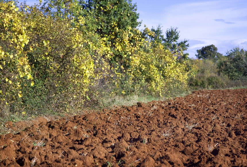 农业领域农村生长环境风景土壤收成农场生产生活农田图片