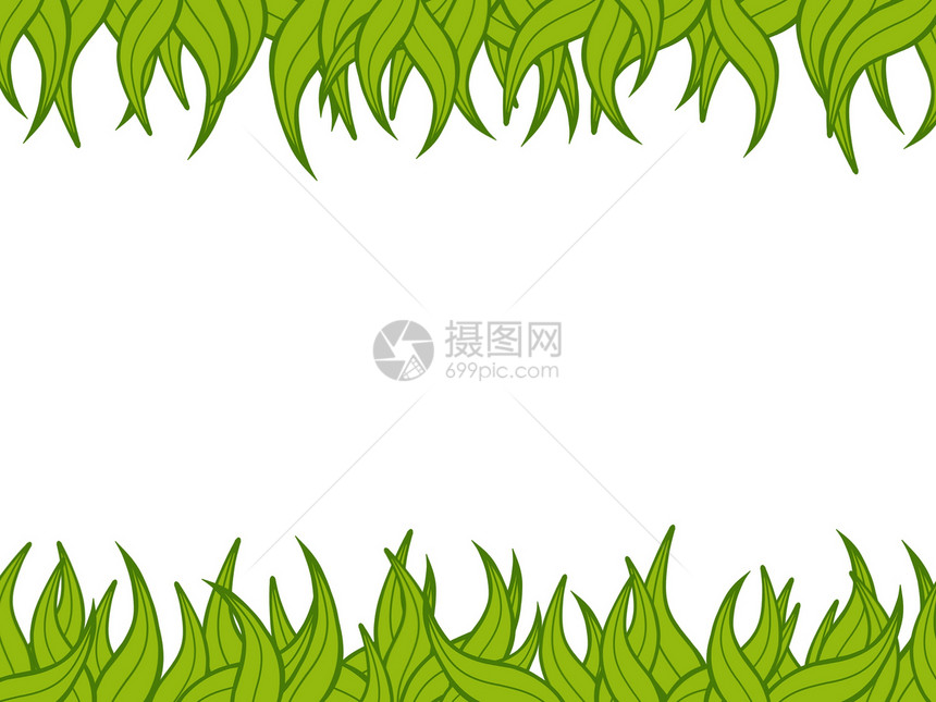 绿色边界植物群生长草地杂草叶子插图框架丛林花园植物图片
