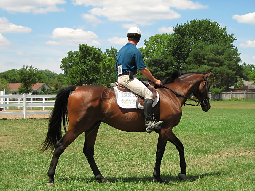 马马和骑士小马运动竞争者马术竞争活动竞赛哺乳动物马背娱乐图片