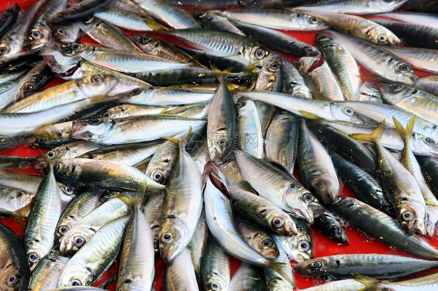 鱼小贩销售量食物零售市场街道店铺钓鱼团体海鲜图片