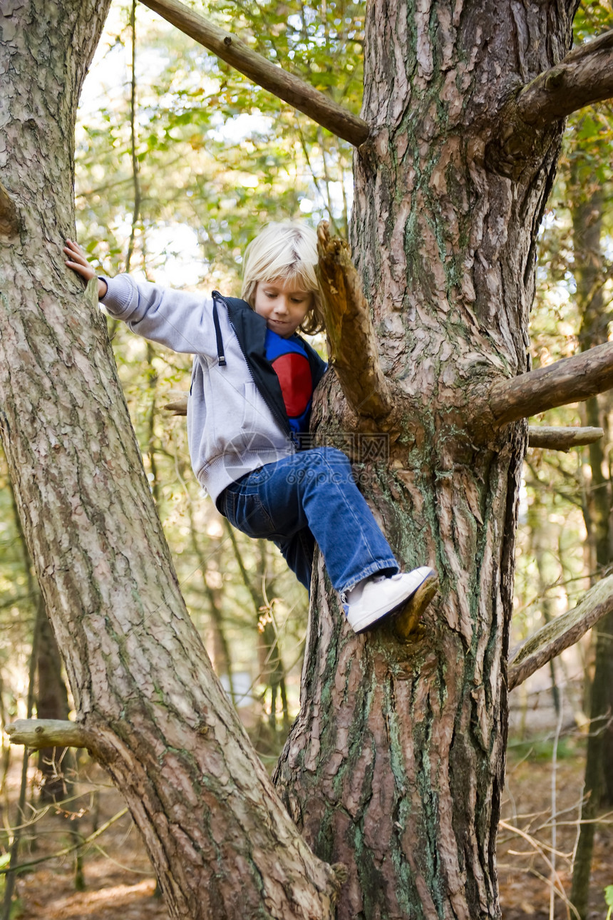 攀爬童年木头男性喜悦绿色公园男生幸福森林青年图片