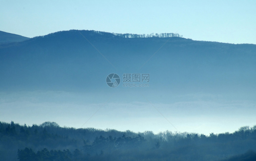 雾雾地图片