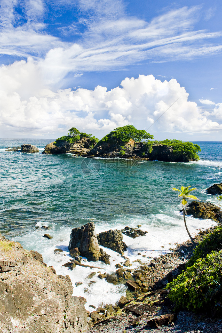 特立尼达 加列拉点风景植物学植物植被植物群海岸线海湾支撑热带图片