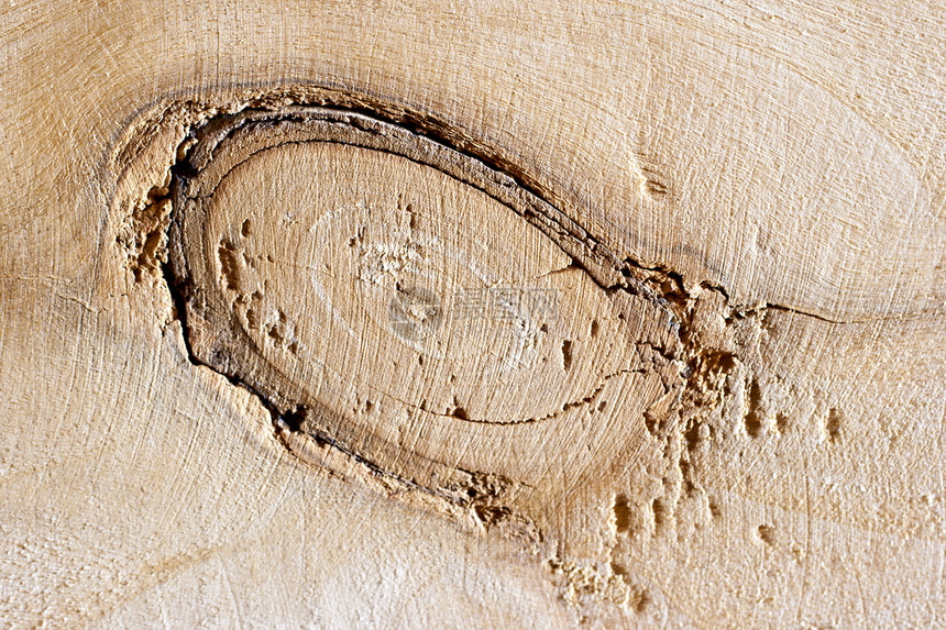 木质纹理粮食橡木条纹地面木材棕色桌子建筑颗粒状宏观图片