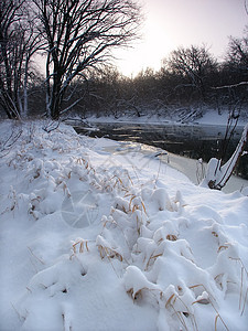 伊利诺伊州新的降雪太阳环境寒冷冻结精神日出寒意溪流高清图片