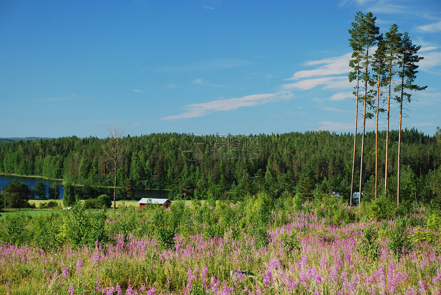 芬兰中部Hankasalmi市的乡边地区图片
