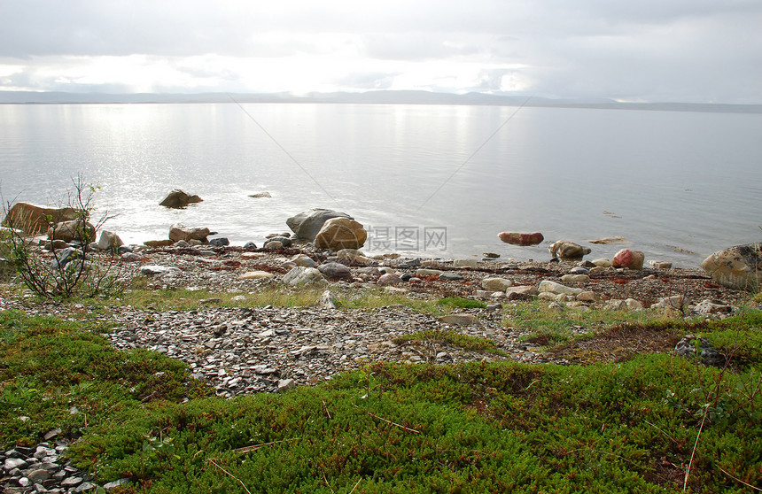 Finnmark的野外景观冰川多云绿色反光石青蛙苔原荒野阳光植被海岸图片