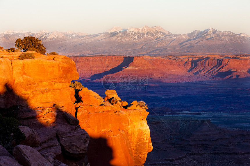 美国犹他州犹他州Canyonland国家公园风景岩石世界自然保护区山脉侵蚀地质学峡谷旅行构造图片