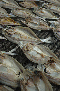 食盐鱼干粮美食海鲜健康饮食咸鱼背景图片