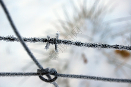 冷冻条状水晶铁丝网背景图片