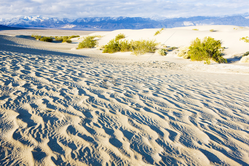 卡利福恩死亡谷国家公园水井沙沙沙沙沙丘衬套世界旅行外观位置沙漠风景山脉干旱起伏图片