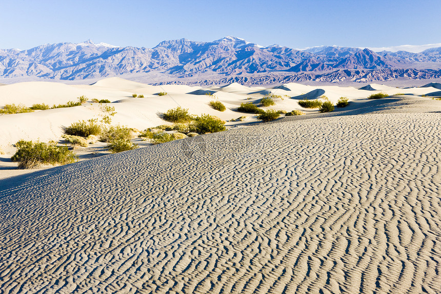 卡利福恩死亡谷国家公园水井沙沙沙沙沙丘植物群位置旅行风景干旱沙丘外观衬套山脉流沙图片