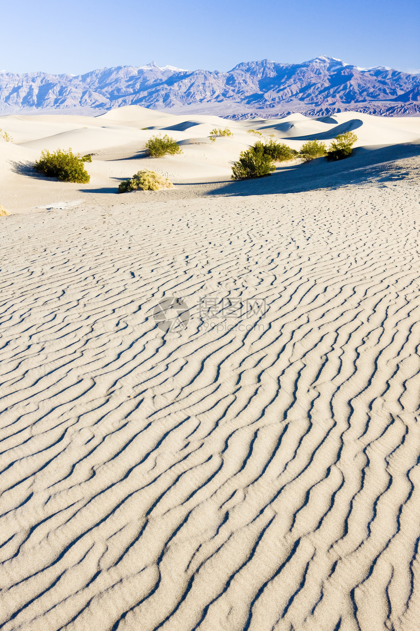 卡利福恩死亡谷国家公园水井沙沙沙沙沙丘位置旅行山脉风景世界外观衬套沙漠干旱沙丘图片