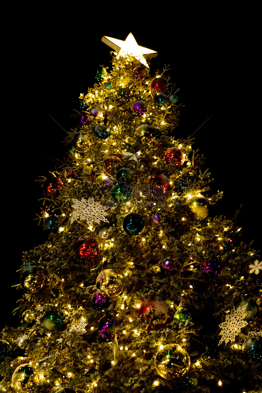 圣诞树照明外观气氛图片