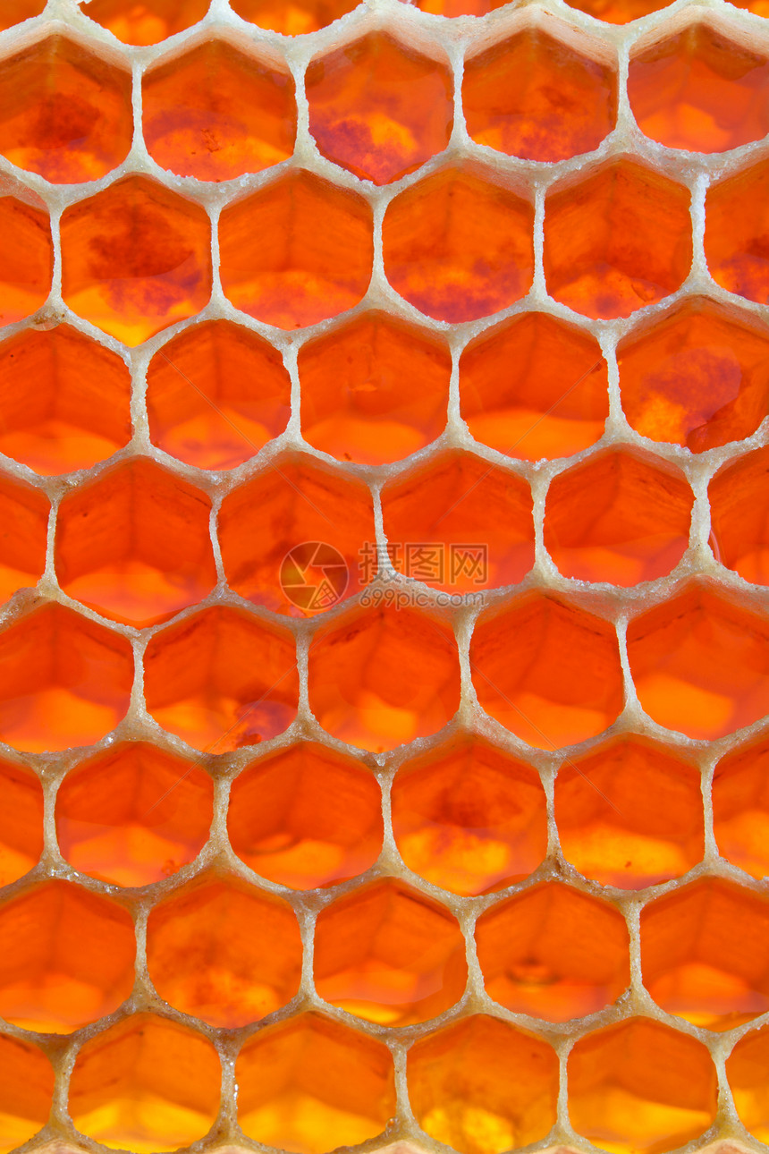 蜂窝食物营养维生素蜂巢棕色六边形健康饮食甜点蜂蜡黄色图片