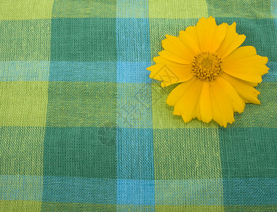 衬织和黄花蓝色纺织品黄色绿色织物花瓣背景图片