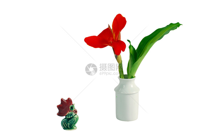鲜花安排和装饰品及装饰品制品植物学美人树叶香味花瓶花瓣香气陶瓷红花图片