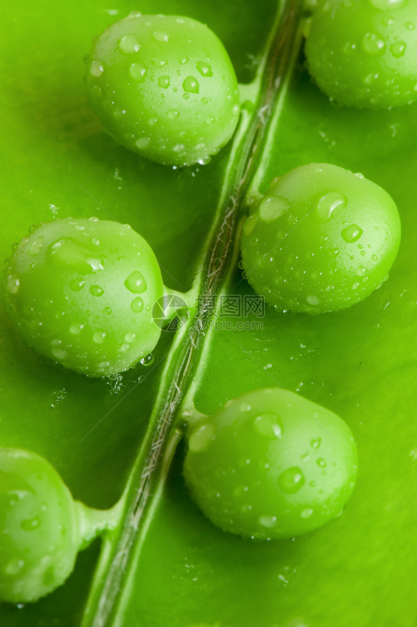 皮蜂核心种子粮食团体营养蔬菜生产市场食物宏观图片