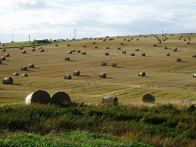 苏格兰农田背景图片