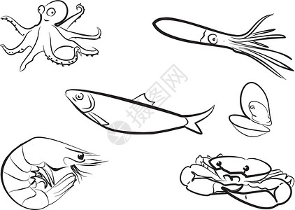 鲱鱼湾海产海鲜食物鲱鱼饮食贝类渔夫钓鱼龙虾脚蹼海洋乌贼插画