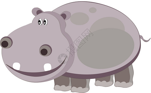 河马哺乳动物快乐动物园动物插图灰色荒野微笑背景图片