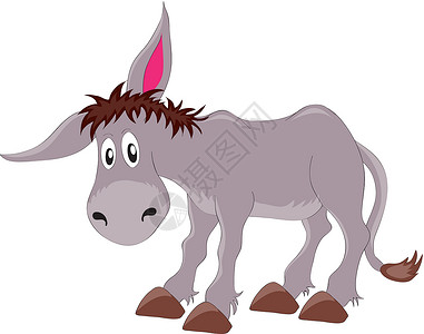 驴子插图宠物哺乳动物农场动物背景图片