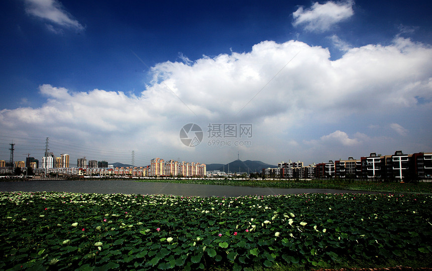 城市建筑风景环湖城市社区建筑轴承公园天空图片