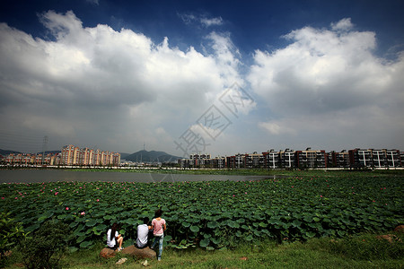 城市建筑风景城市公园社区天空环湖轴承建筑背景图片