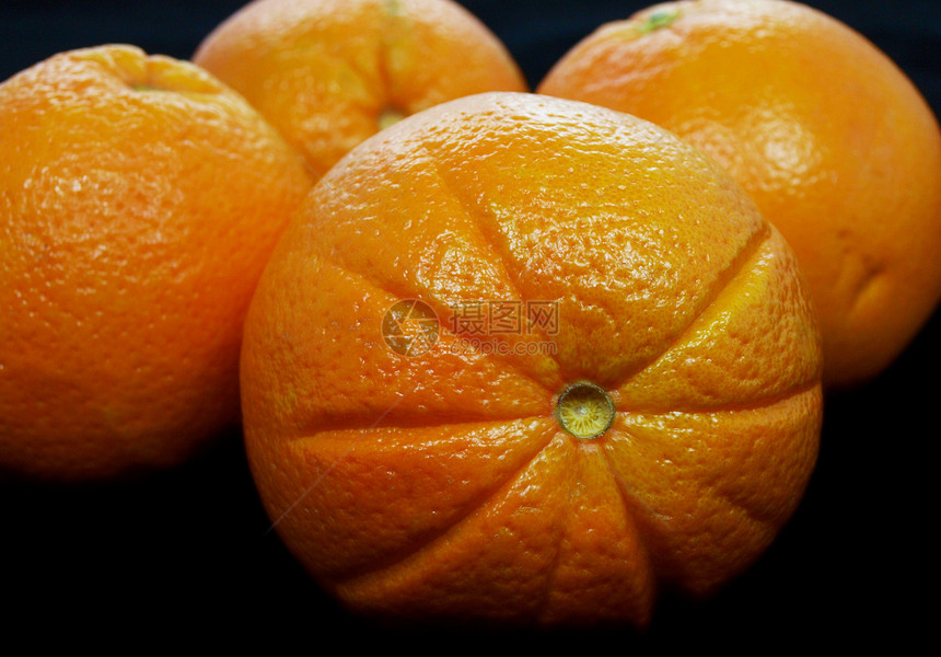 橙子水果白色背景营养橘子工作室深色食物图片