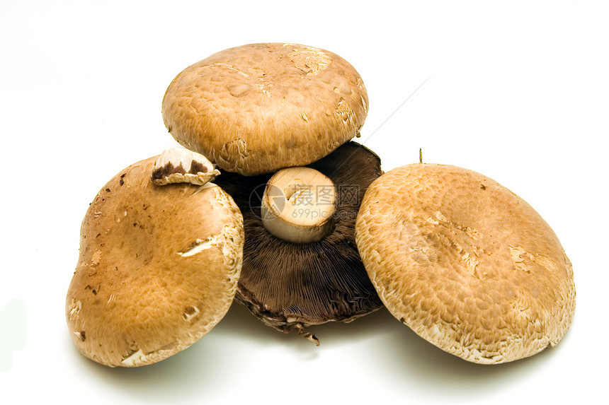蘑菇团体小吃波塔棕色美食水果蔬菜白色宏观食品图片