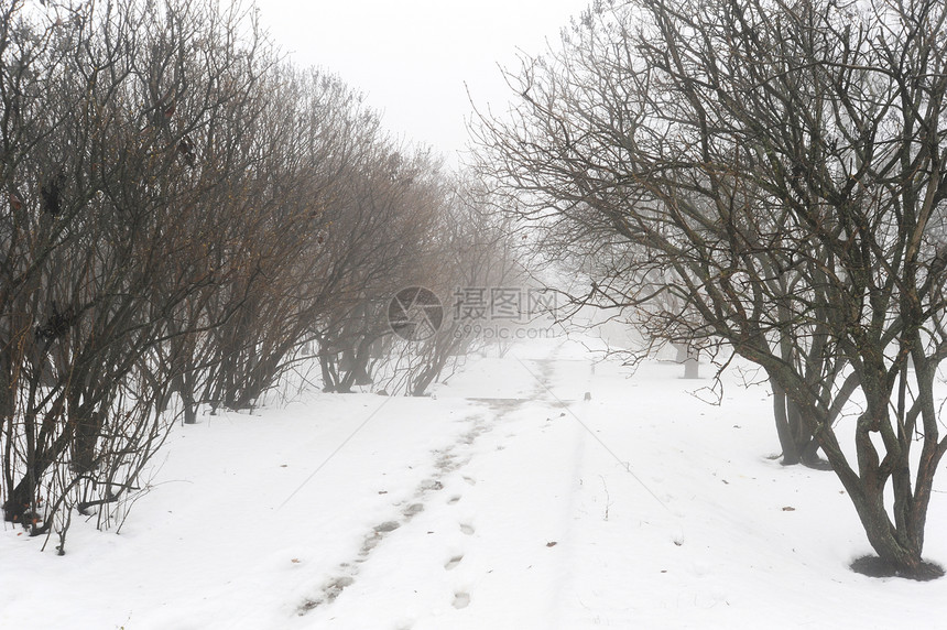 冬季公园森林脚步气候暴风雪车道季节痕迹正方形场景孤独图片