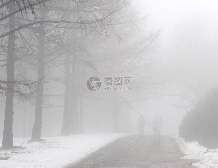 冬季公园运输暴风雪天气花园树木季节植物孤独森林车道图片